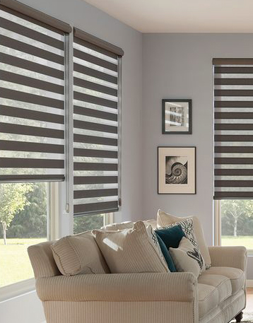 Living room with zebra shades